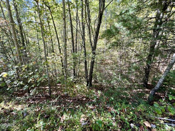 6 Acres Creek Hollow Way , Sevierville, TN 37876