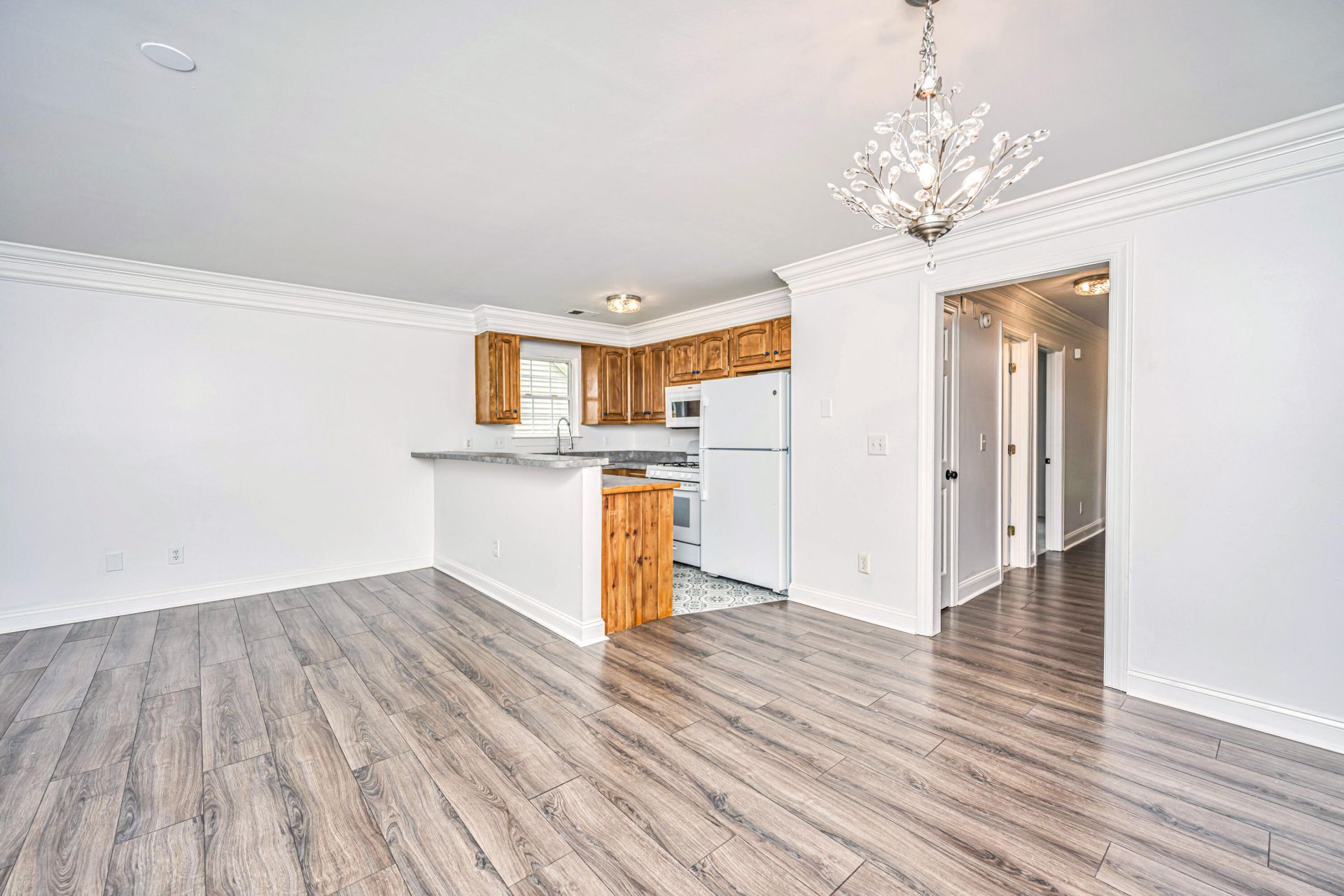 387 Springview Lane Photo 7