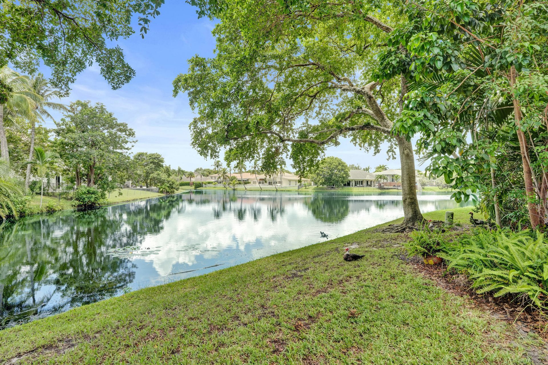 731 E Coco Plum Circle, Unit 4, Plantation, FL 33324 Photo
