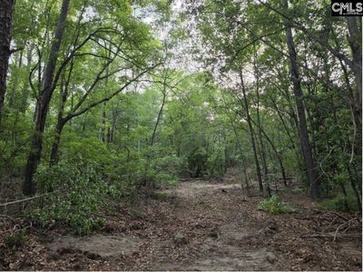 7 Acres Woodberry Lane , North Augusta, SC 29841