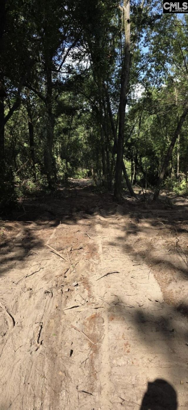 7 Acres Woodberry Lane  Photo 4