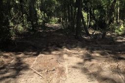 7 Acres Woodberry Lane  photo 4