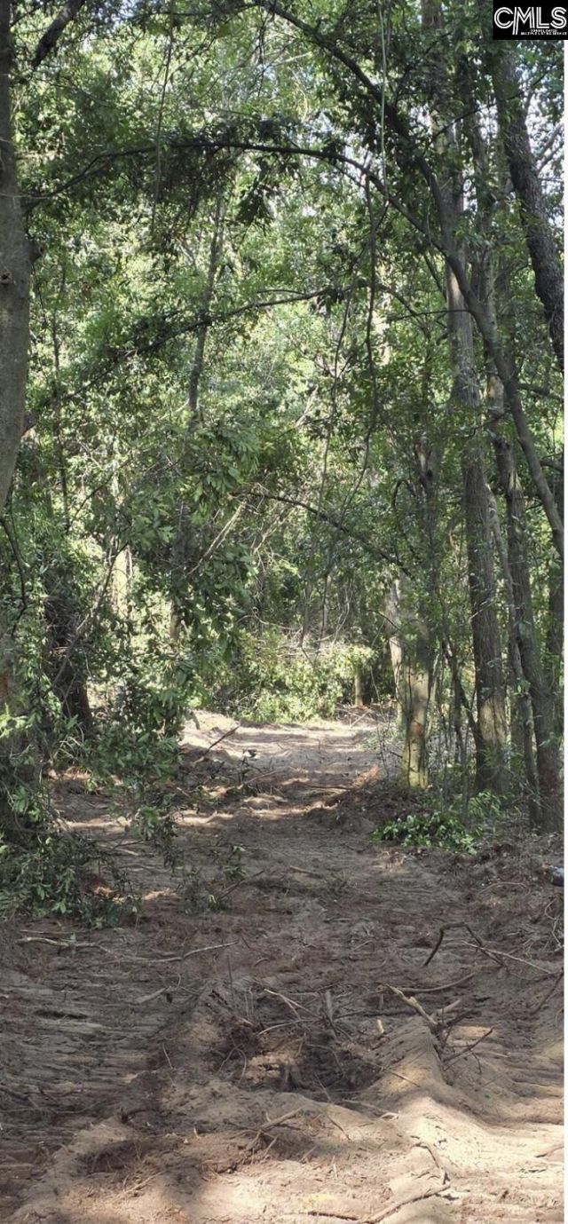 7 Acres Woodberry Lane  Photo 5