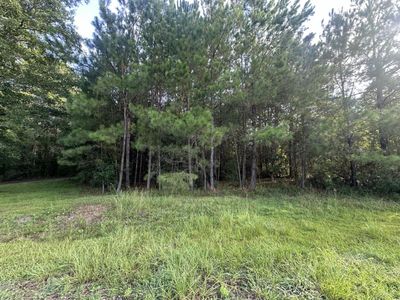 108 Blanchard Lane, Jamestown, SC 29453