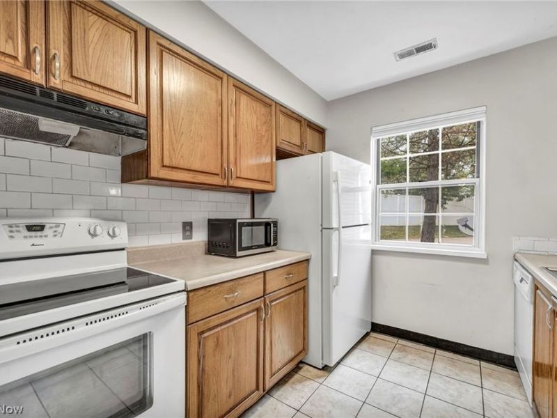 85 Firebush Lane, Northfield, OH 44067 Photo 15