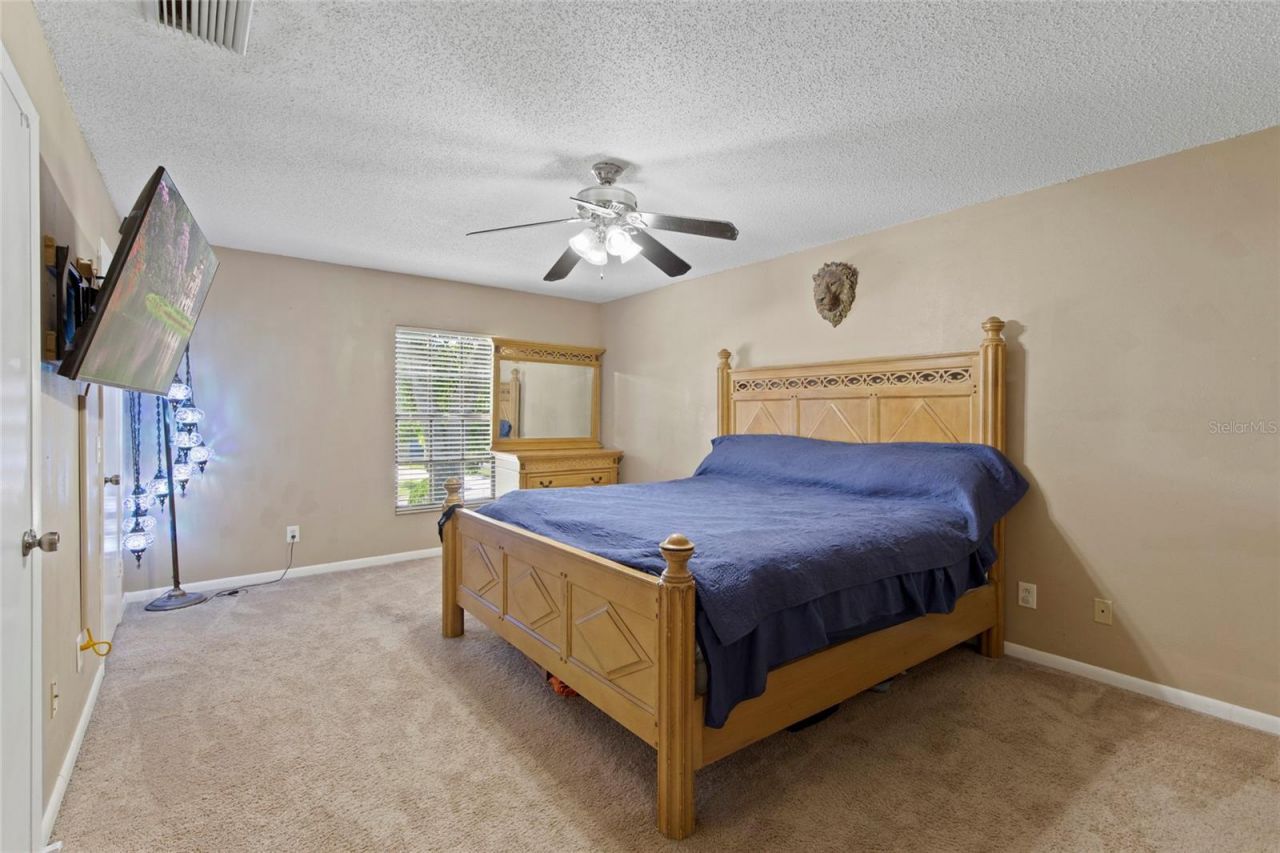 16126 Country Crossing Drive, Tampa, FL 33624 Photo