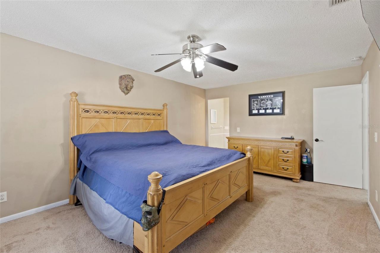16126 Country Crossing Drive, Tampa, FL 33624 Photo
