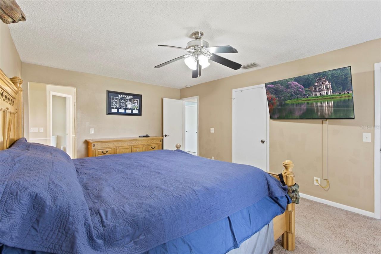 16126 Country Crossing Drive, Tampa, FL 33624 Photo