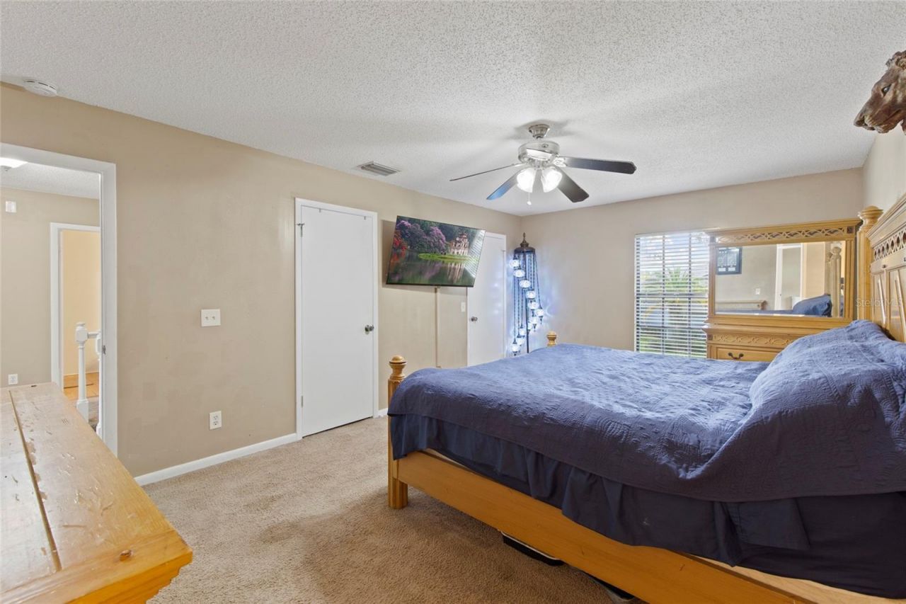 16126 Country Crossing Drive, Tampa, FL 33624 Photo