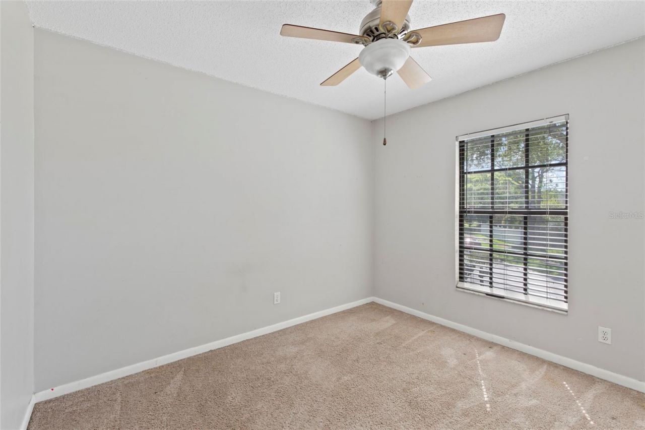 16126 Country Crossing Drive, Tampa, FL 33624 Photo