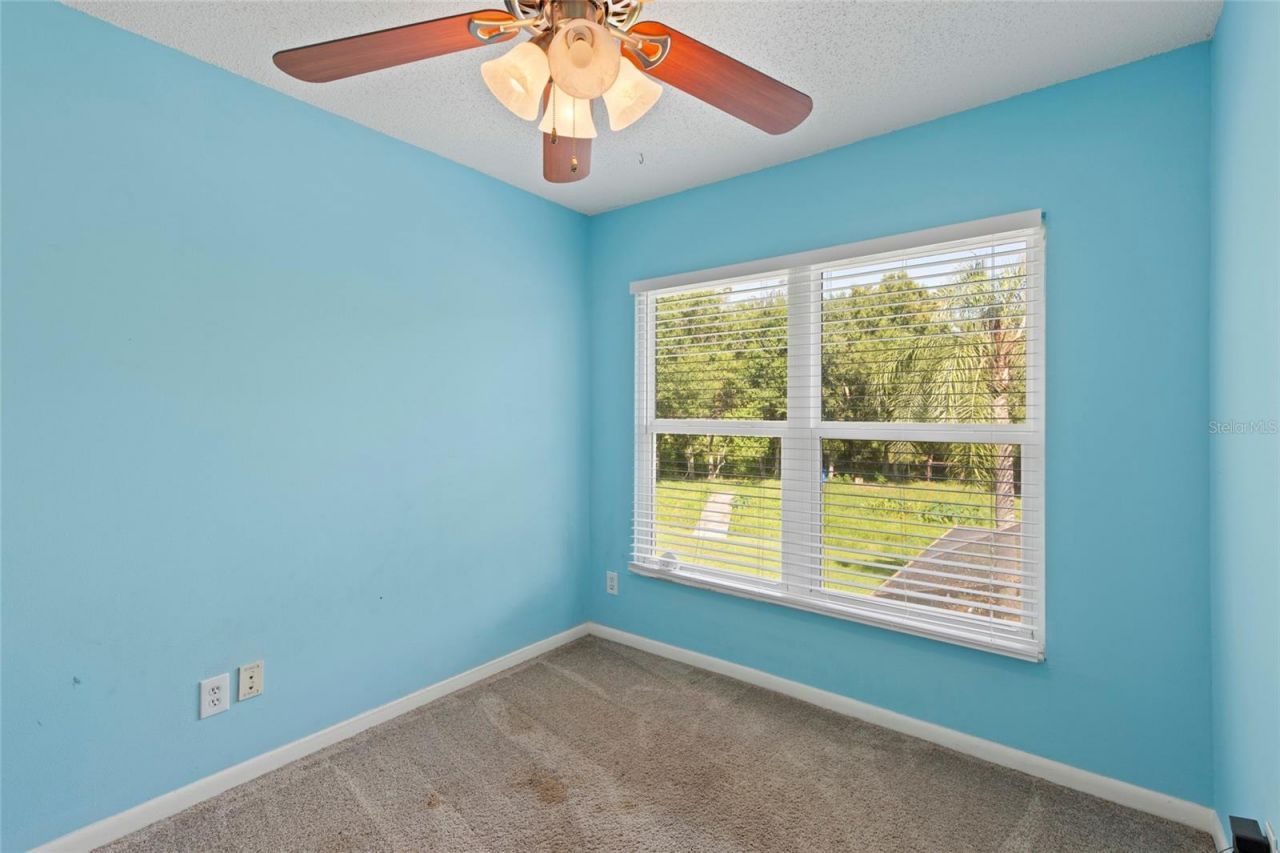 16126 Country Crossing Drive, Tampa, FL 33624 Photo