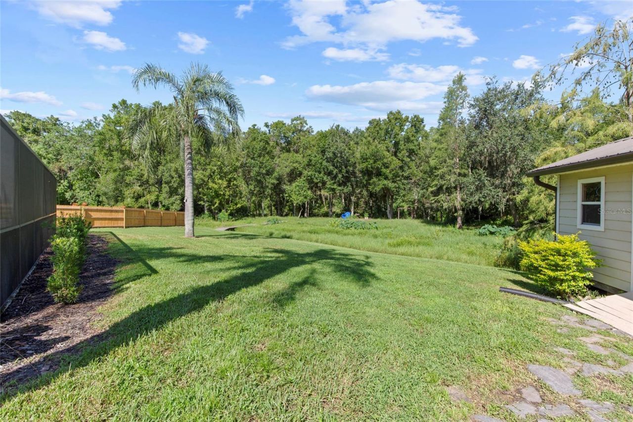 16126 Country Crossing Drive, Tampa, FL 33624 Photo