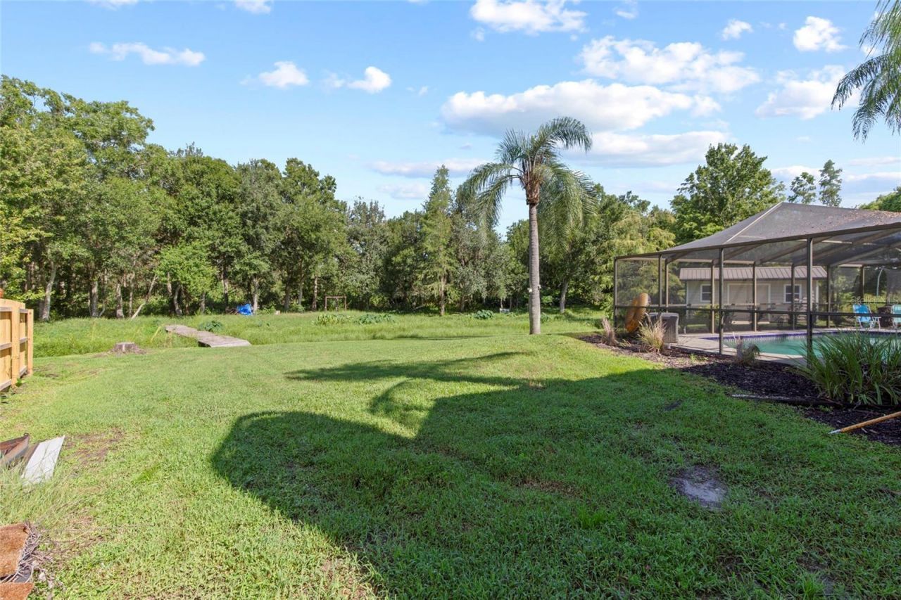 16126 Country Crossing Drive, Tampa, FL 33624 Photo