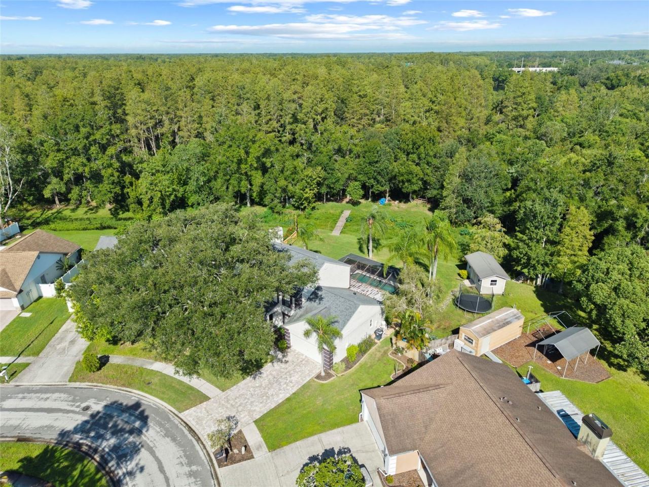 16126 Country Crossing Drive, Tampa, FL 33624 Photo