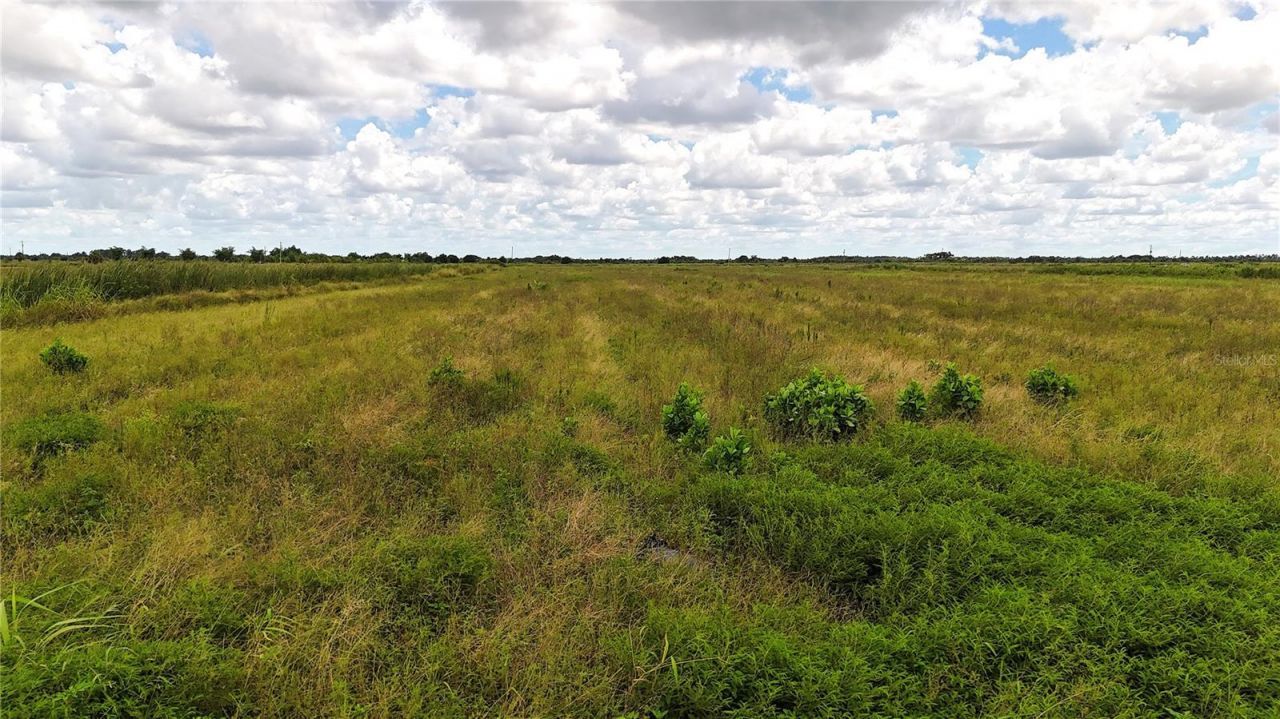 5595 1st Road, Labelle, FL 33935 Photo