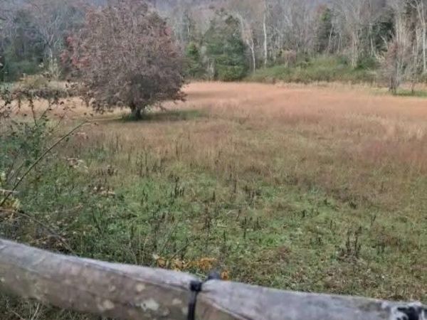 0 Hills Creek RD , Mc Minnville, TN 37110