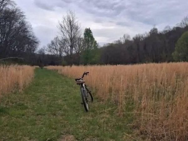 0 Hills Creek RD , Mc Minnville, TN 37110