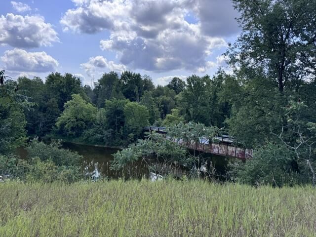 1.5 Acres V/l 170th Avenue, Hersey, MI 49639 Main Photo