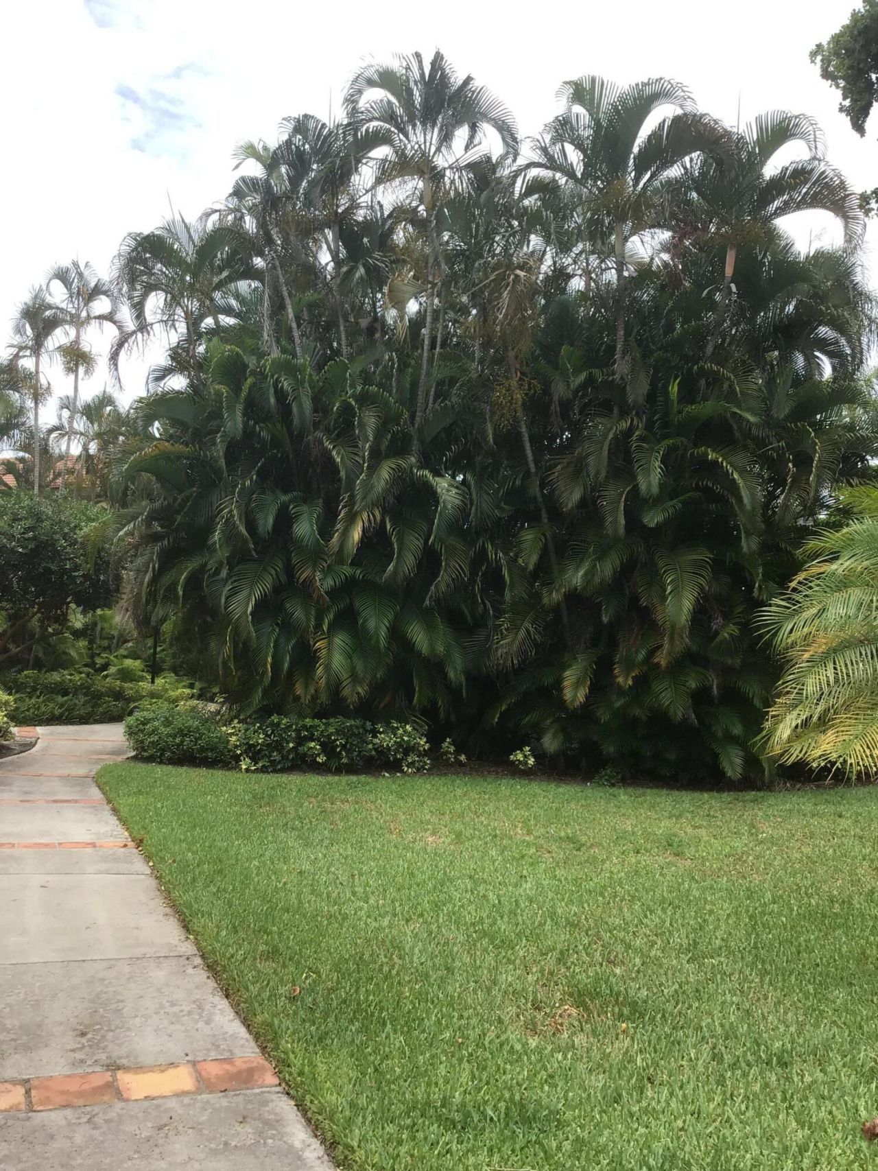 Please Call For Address, West Palm Beach, FL 33409 Photo