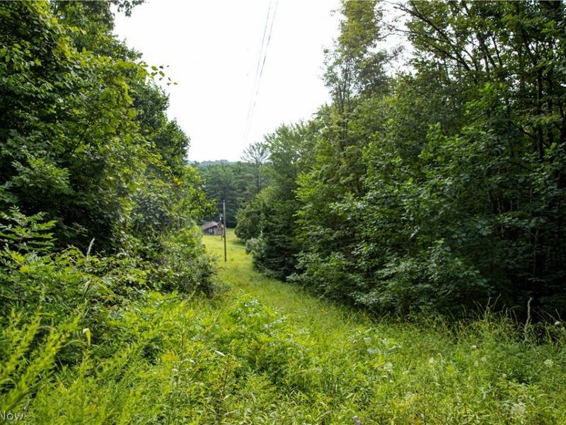 11005 Crawford Lane , New Concord, OH 43762 Photo 25
