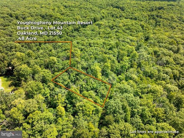 GREY SQUIRREL ROAD , OAKLAND, MD 21550