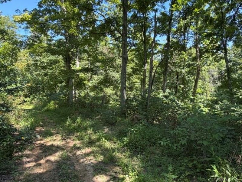 63 ac Upper Twin Road, Greenfield, OH 45681 Photo 12