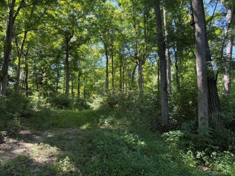 63 ac Upper Twin Road, Greenfield, OH 45681 Photo 13