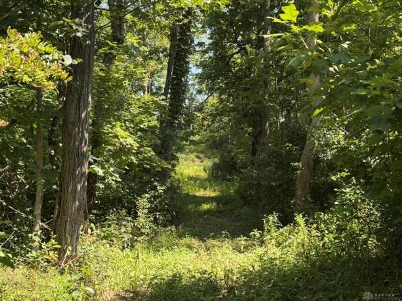 63 ac Upper Twin Road, Greenfield, OH 45681 Photo 14
