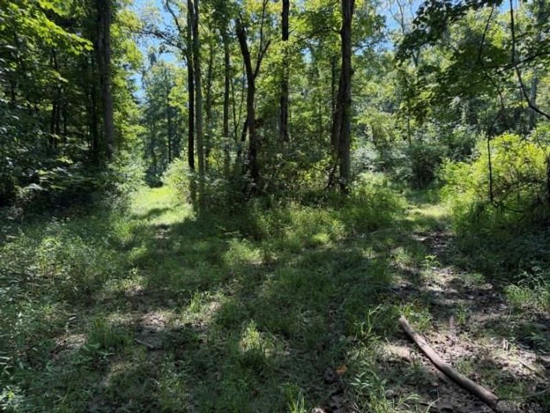 63 ac Upper Twin Road, Greenfield, OH 45681 Photo 16