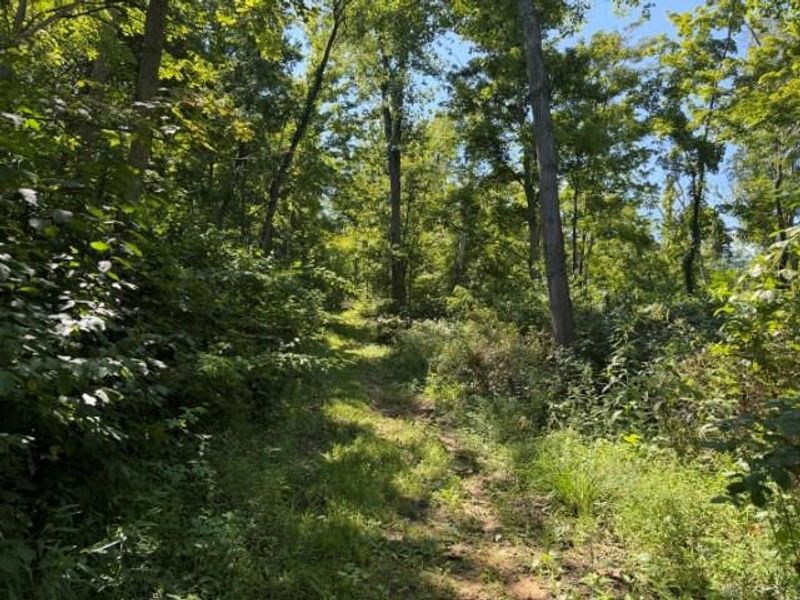 63 ac Upper Twin Road, Greenfield, OH 45681 Photo 17