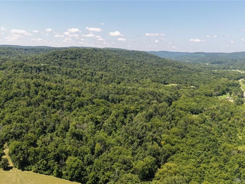 63 ac Upper Twin Road, Greenfield, OH 45681 Photo 21