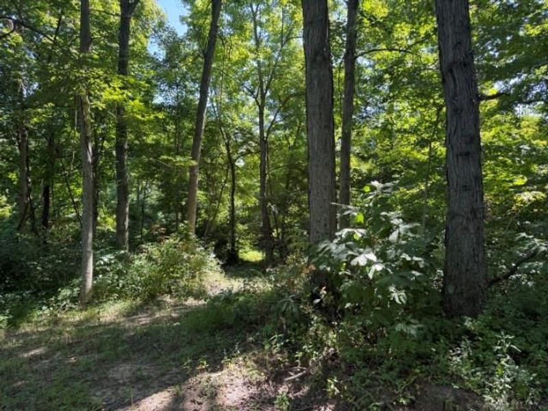 63 ac Upper Twin Road, Greenfield, OH 45681 Photo 7