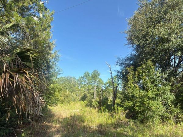 19037 PARAKEET ROAD , BROOKSVILLE, FL 34614