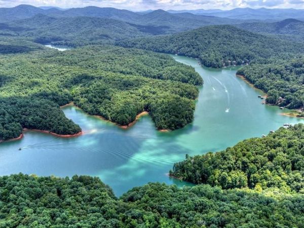 LT 60 Necowa Cove Overlook , Blue Ridge, GA 30513