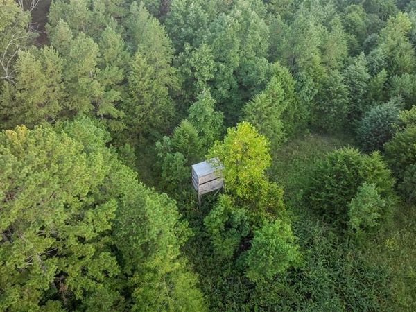 11620 Slaughter Road , Licking, MO 65542
