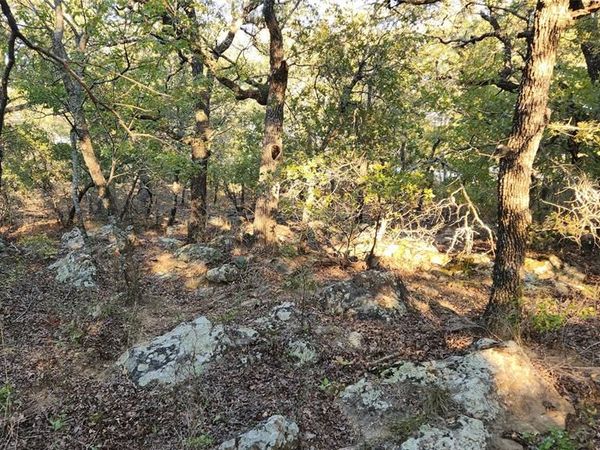 411 Mountain View Court , Sunset, TX 76270