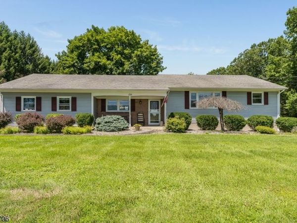 135 ROCKAFELLOW'S MILL ROAD, Readington, NJ 08822