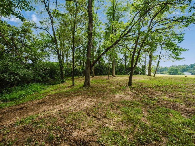 3301 Benedict Road , Marengo, OH 43334 Photo 101