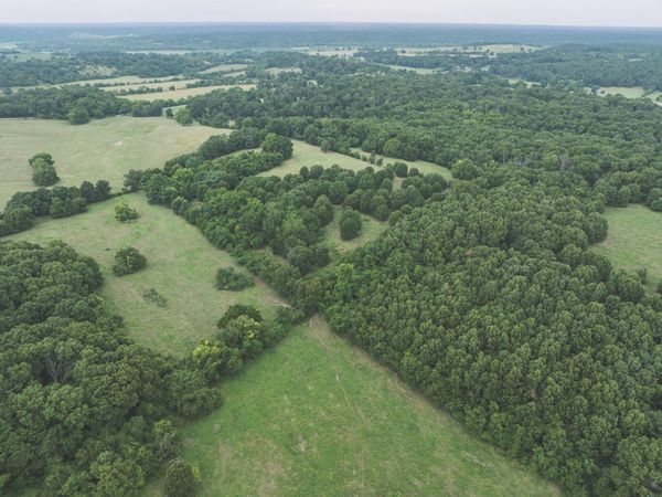 12471 Mallard Drive , Neosho, MO 64850