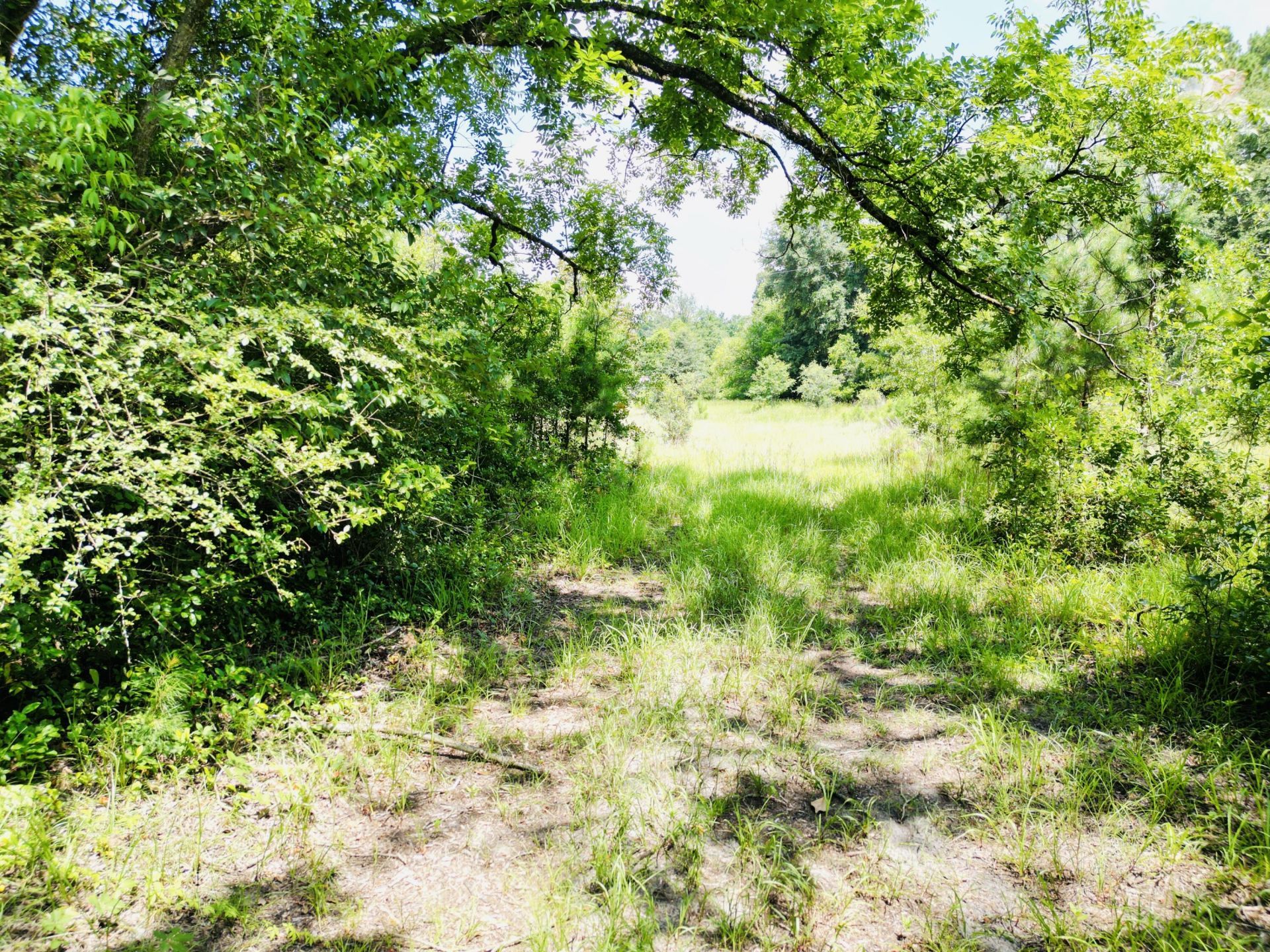 486 Sandhill Road Photo 32