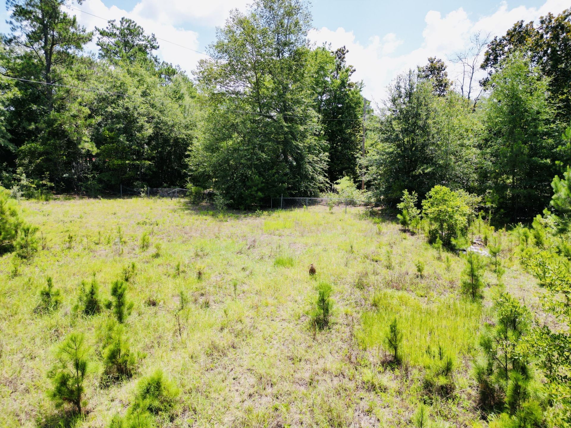 486 Sandhill Road Photo 34