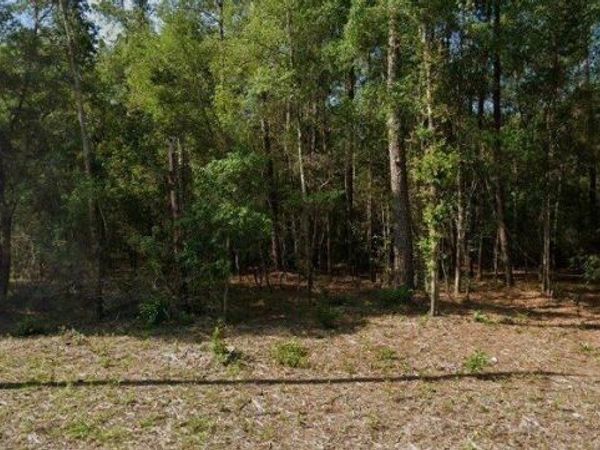 8742 N Nobleton Way , Dunnellon, FL 34434