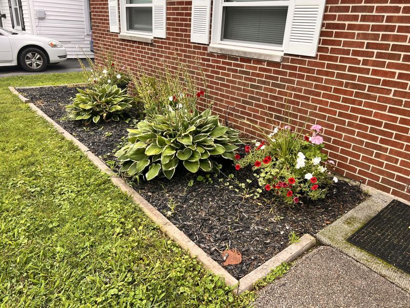 1223 Albemarle Road, Springfield, OH 45504 Photo 7