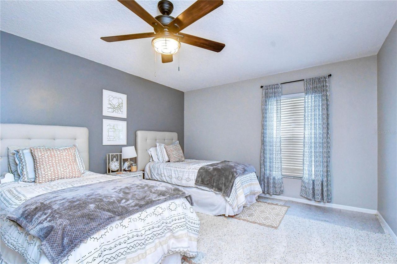 5424 Windbrush Drive, Tampa, FL 33625 Photo