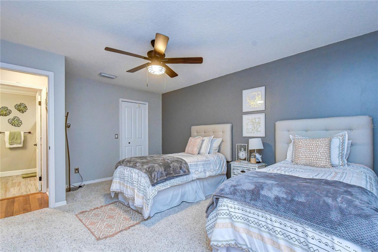 5424 Windbrush Drive, Tampa, FL 33625 Photo
