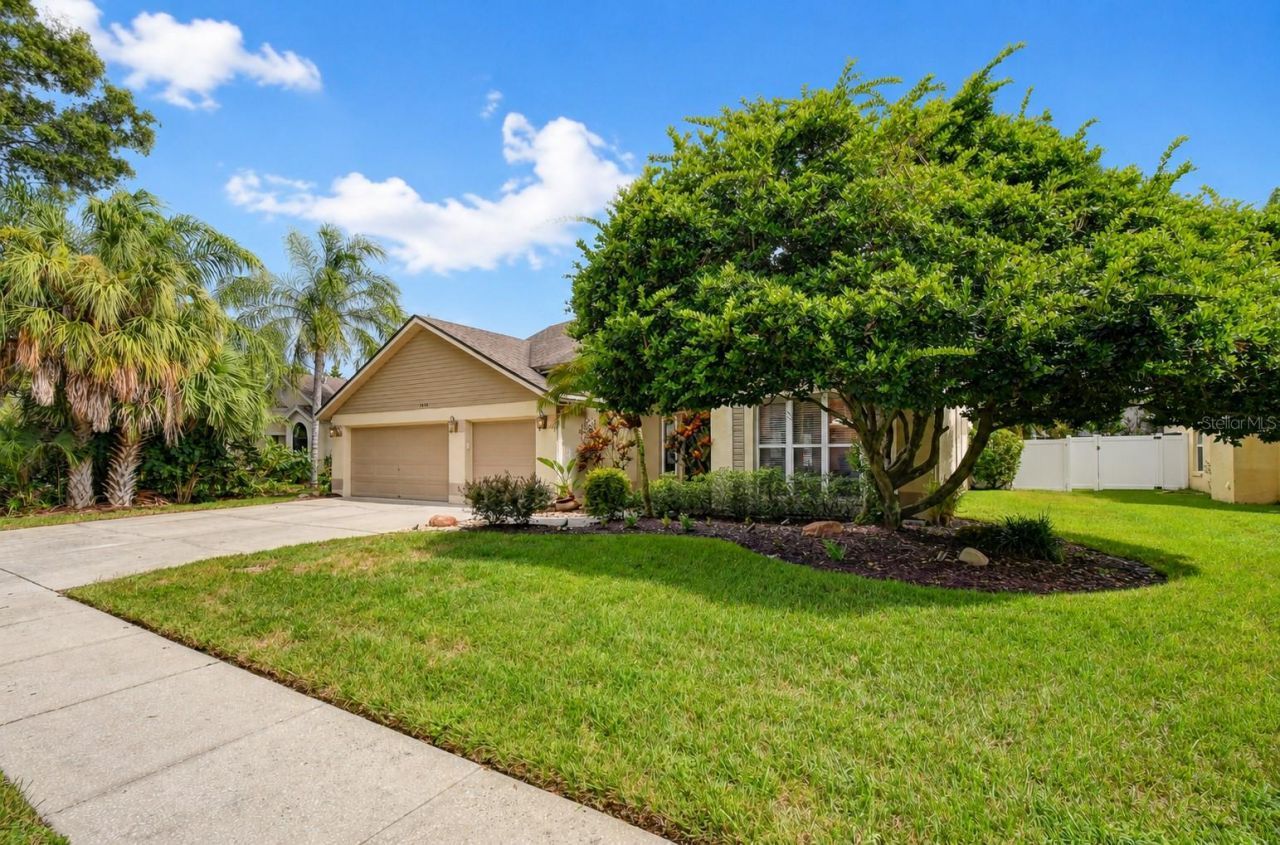 5424 Windbrush Drive, Tampa, FL 33625 Photo