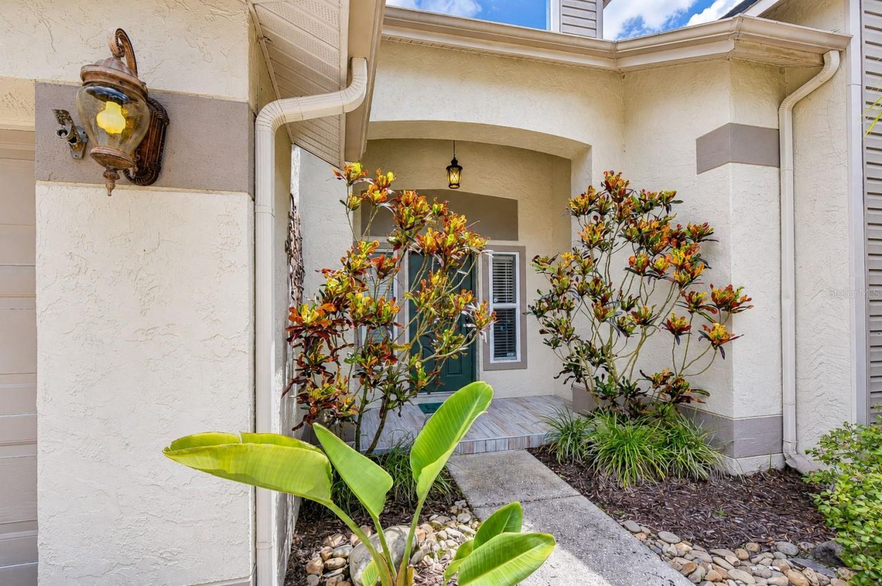 5424 Windbrush Drive, Tampa, FL 33625 Photo