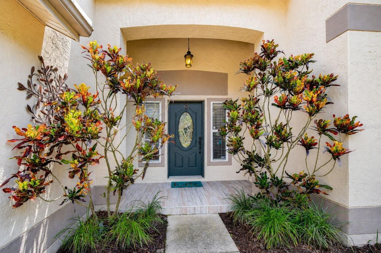 5424 Windbrush Drive, Tampa, FL 33625 Photo