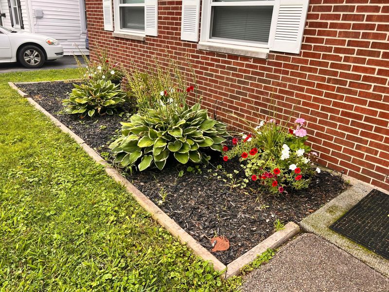 1223 Albemarle Road , Springfield, OH 45504 Photo 8