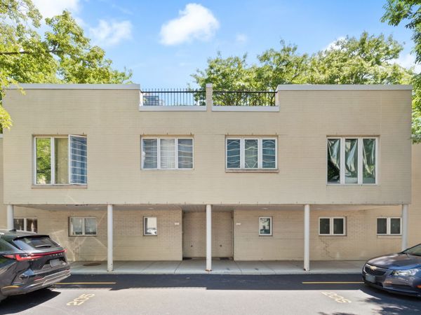 1069 S Park Terrace , Unit 205, Chicago, IL 60605